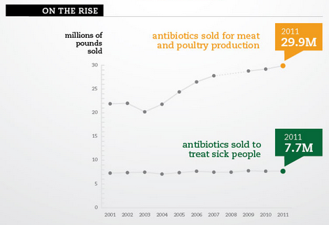 Antibiotic Use In Meat Industry At An All-time High