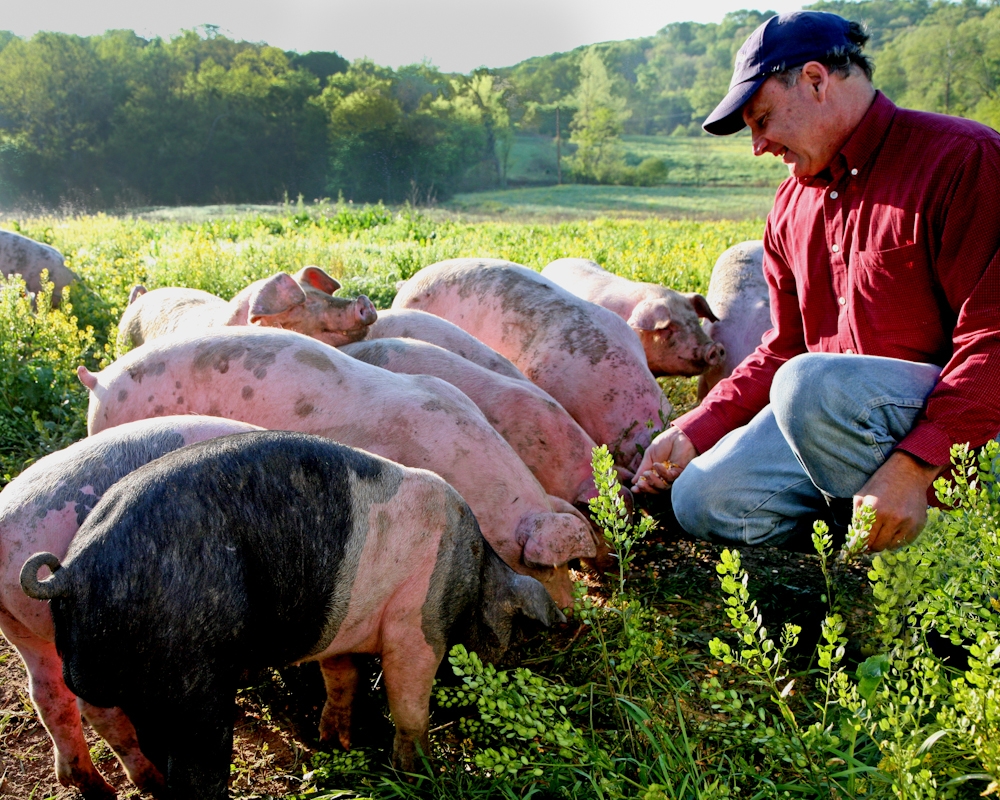 Editorial Regarding Antibiotic Resistance Highlights Hog Farmer Russ Kremer